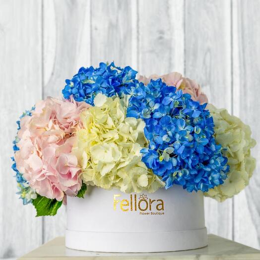 Белая коробка микс гортензий 3786