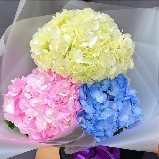 Яркий разноцветный букет из гортензий-593