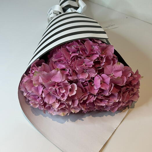 Three Hydrangea Pink