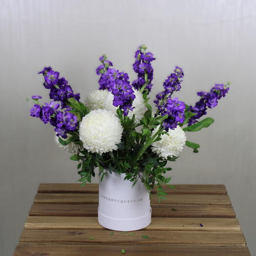 Blue Matthiola Box 1152