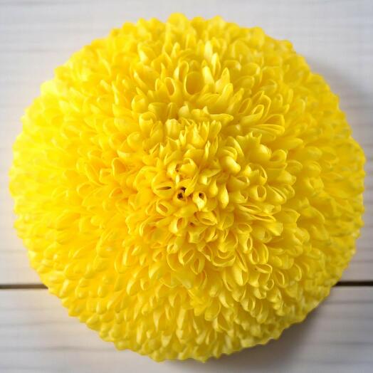 Crisantemo Pingpong Amarillo – Tallo individual | Crisantemo de bola amarillo brillante