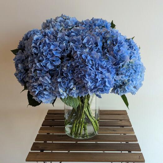 Blue hydrangea vase