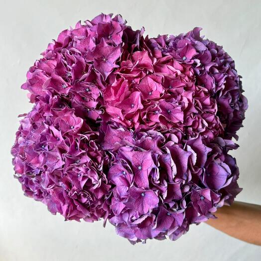 Purple hydrangea bouquet