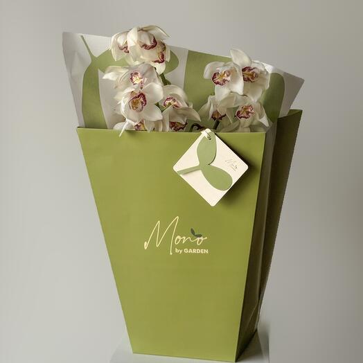 White orchids (3 pcs)