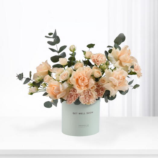 Peach Blossom Get Well Soon Box