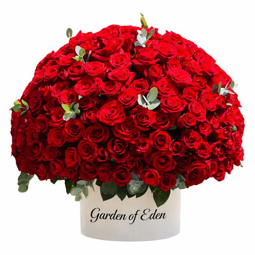 Classic Romance 201 Red Roses Box