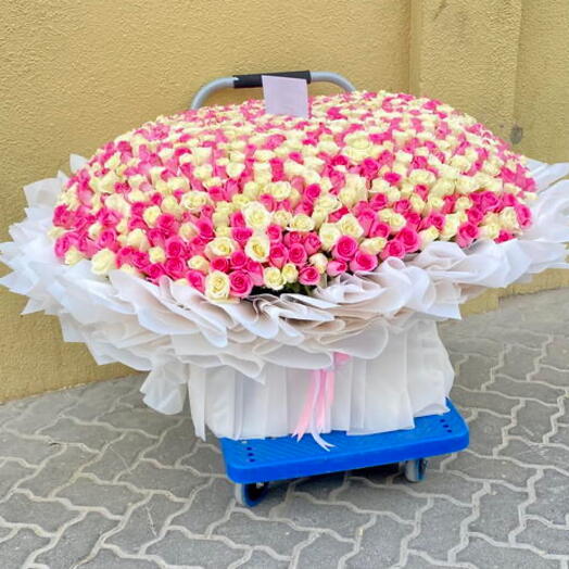 mélange de 1000 roses roses et blanches