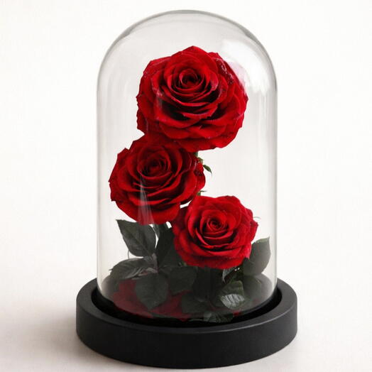 Forever Red Rose XL in Glass Dome