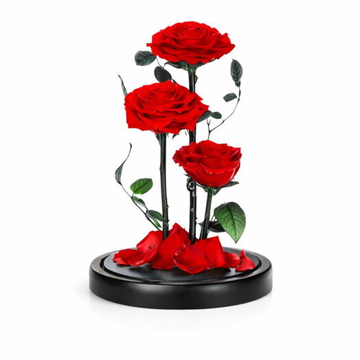 3 Red forever Rose