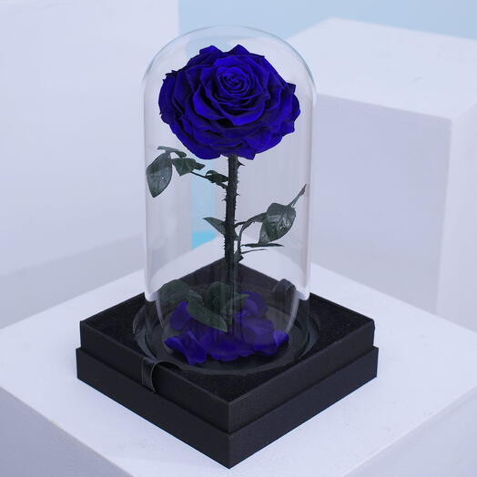 Preserved Blue Rose