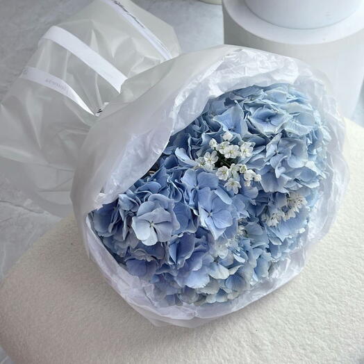 Синяя гортензия на День матери