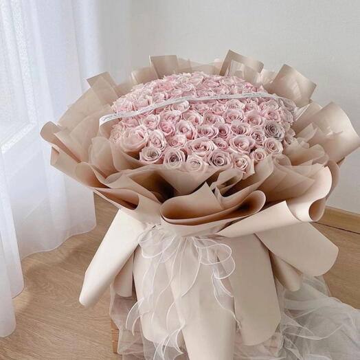 50 Light Pink Roses Statement Love Gift