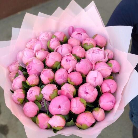 51 Pink Peony-571