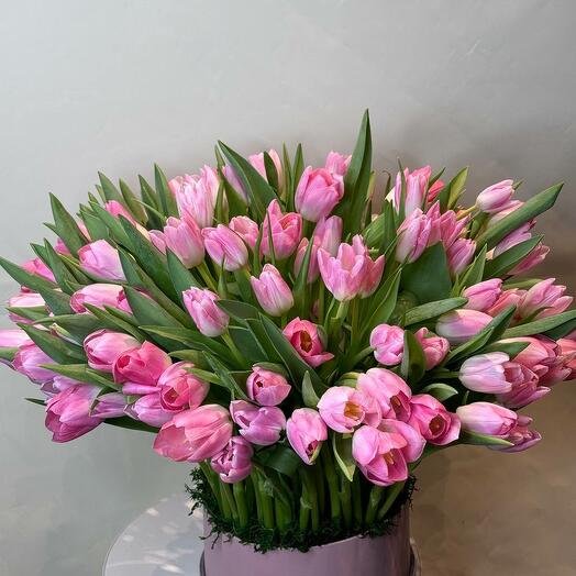 Тюльпан в круглой коробке