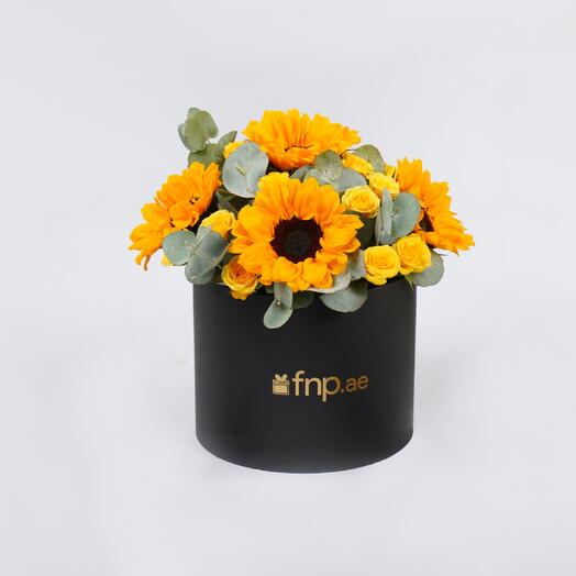 Яркие подсолнухи