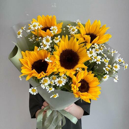 Солнечные луга - Подсолнух