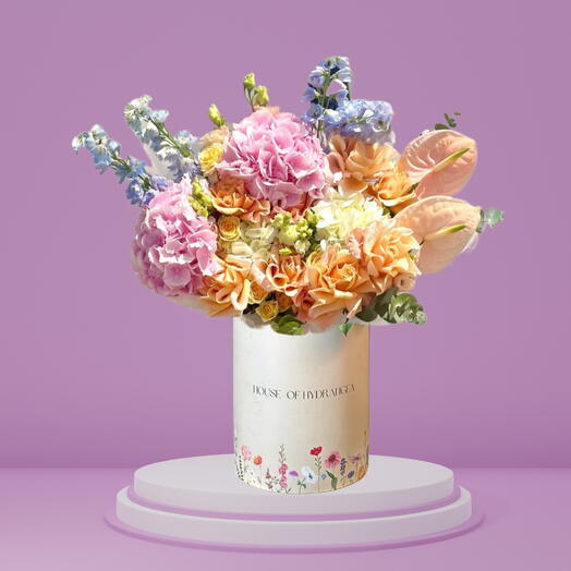 АМБИЦИОЗНАЯ КОРОБКА