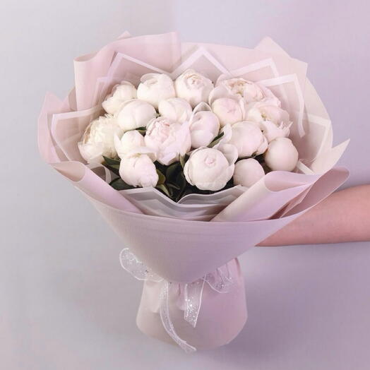 بيوني بيلي -19 بيوني أبيض