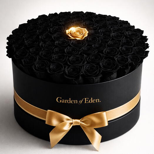 101 Black Roses   Golden Rose