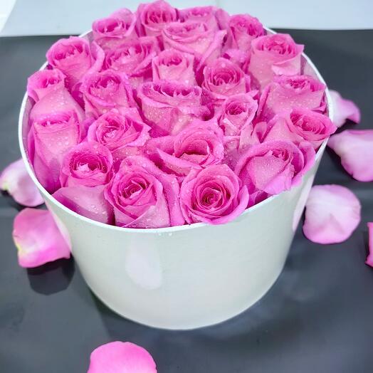 20 Rose white  Hatbox