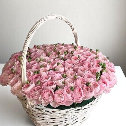 رانانكولس في السلة