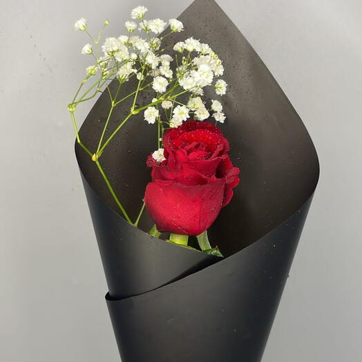 Une rose rouge enveloppée de gypsophile