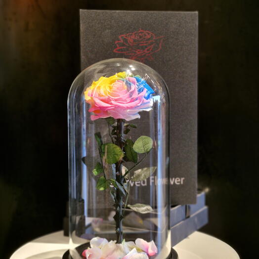 GLASS DOME- ETERNAL ROSES | Rainbow (LARGE)