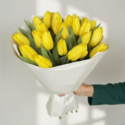 Золотое солнце - 25 жёлтых тюльпанов