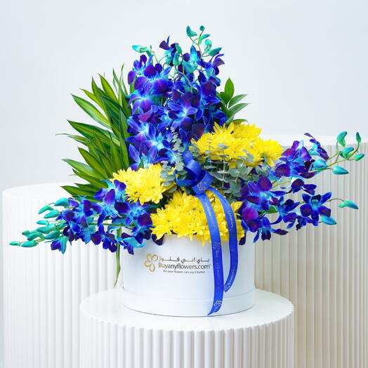 Azure Orchid Flower Box