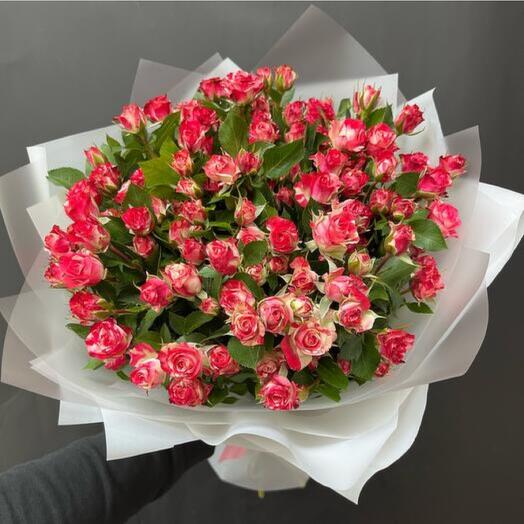 Fire Pink Baby Rose-576