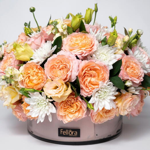 Нежная Красота-1355