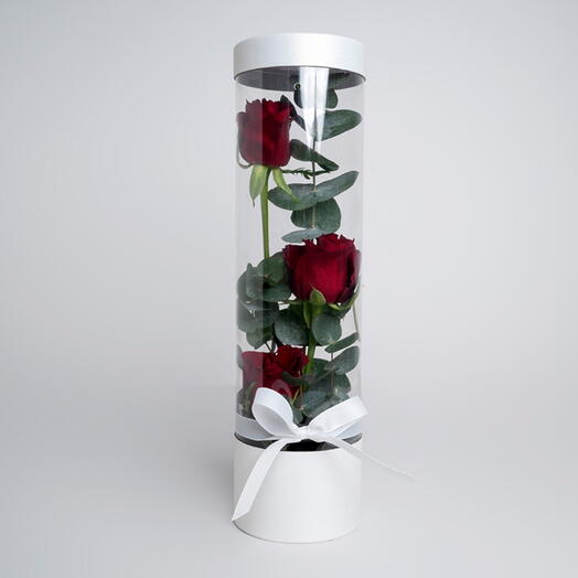 Red Roses And Eucalyptus Bottle-3911