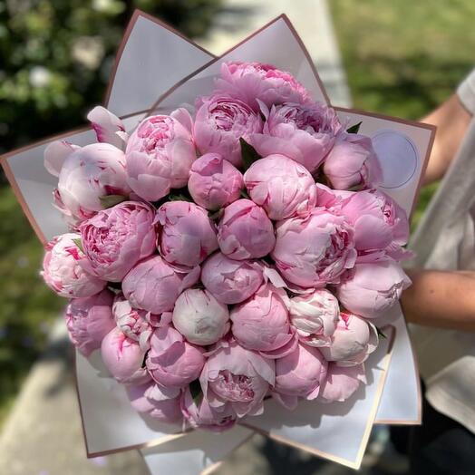 Bouquet of pink peonies blooming