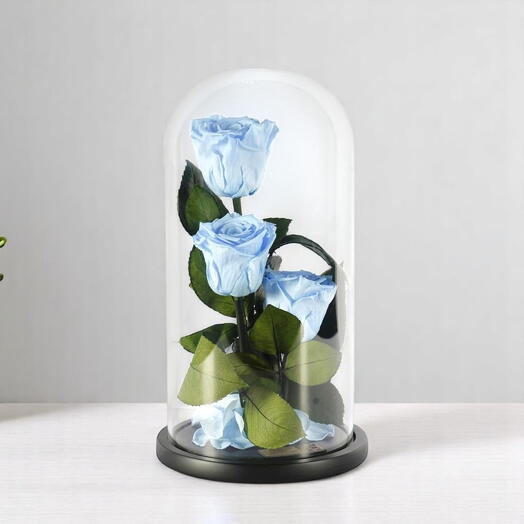 Светло-голубые стабилизированные розы в наборе из трёх стеклянных колпаков