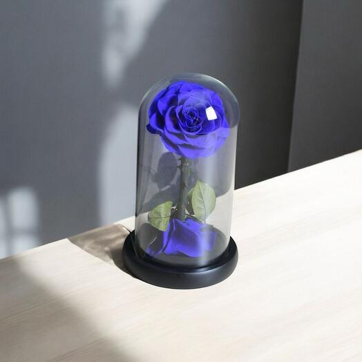 Blue Infinity Rose