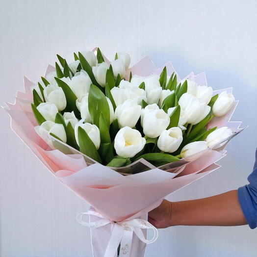 51 white tulips