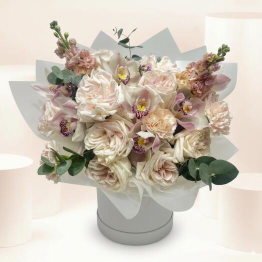 Шёпоты безмятежности(Бокс)