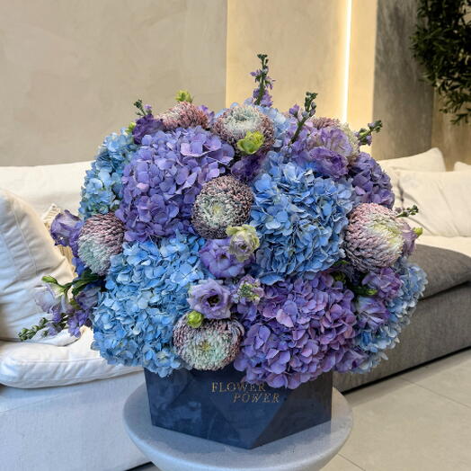 Blue Mirage: Box of Hydrandeas