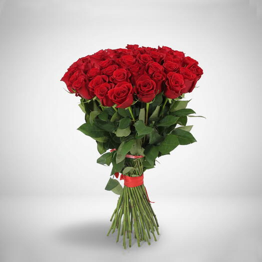 Ramo de 41 rosas rojas – Rosas premium de tallo largo de 50cm con lazo rojo | Entrega de flores en EAU