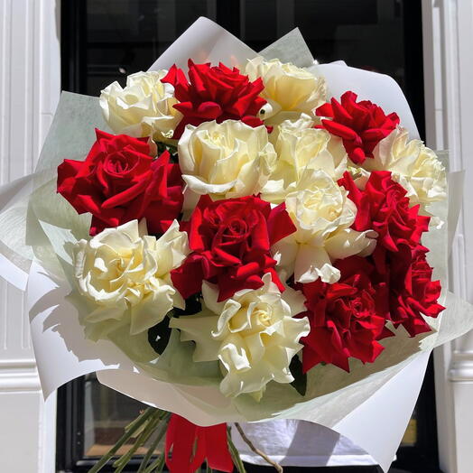 Rosa francesa roja y blanca 1123