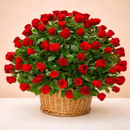 Basket of love: 151 red roses