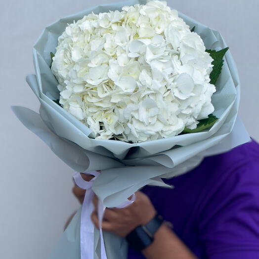 Elegant White Hydrangea Bouquet (4 Stems) | Pure   Serene Flowers in Dubai