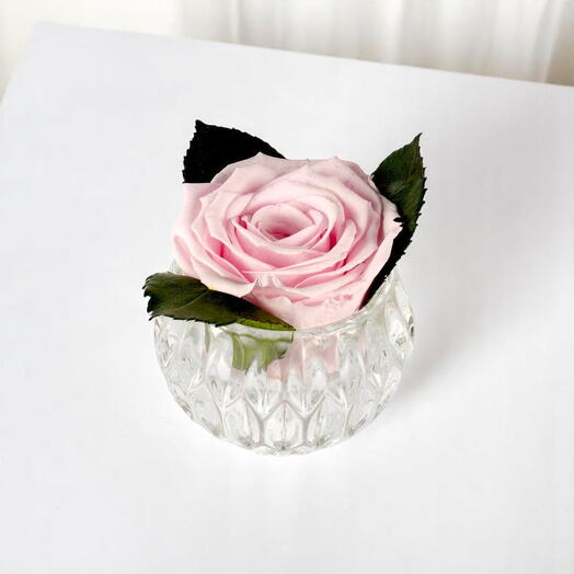 Светло-розовая стабилизированная роза XL в маленькой кристальной вазе-аквариуме
