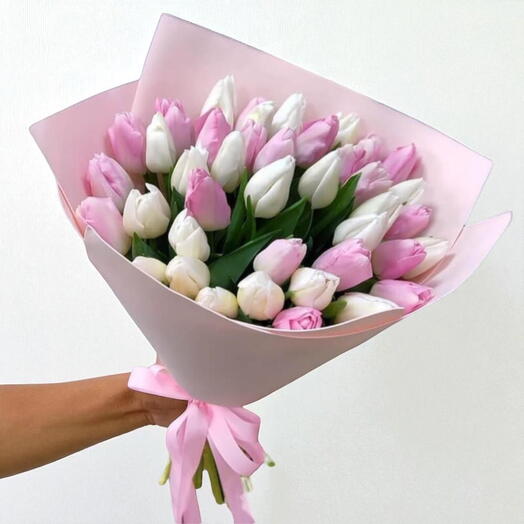 39 tulips ( pink and white )
