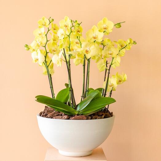 Золотой шарм