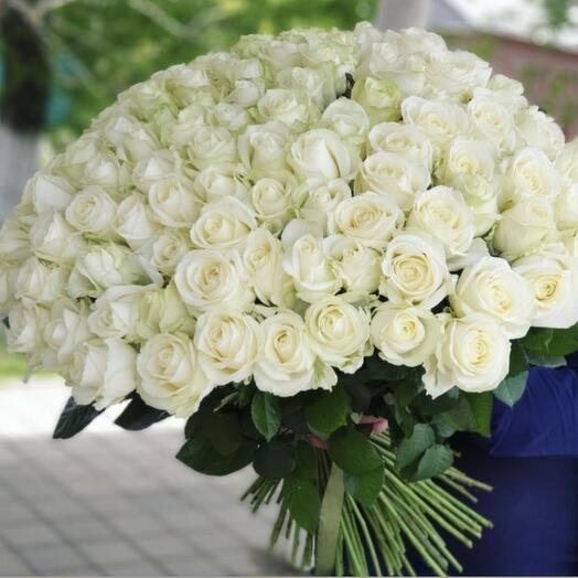 101  rose d'Équateur