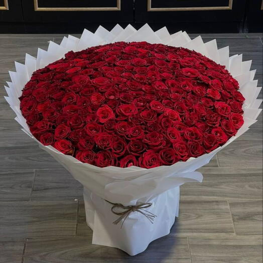 Роскошный букет из 200 красных роз