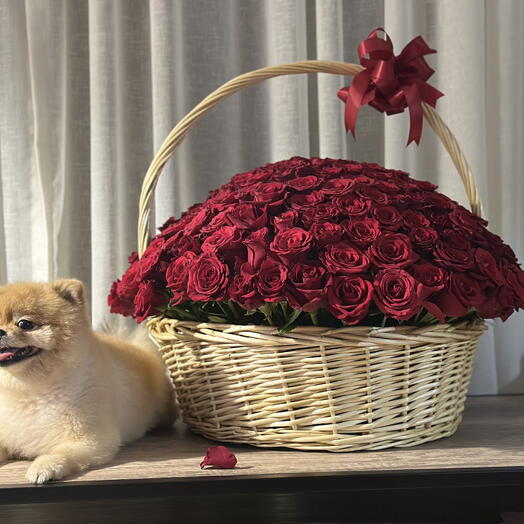 Gorgeous basket 200 red roses