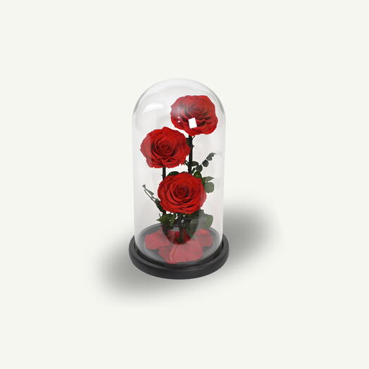 Трио красных вечных роз