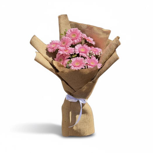 Розовое сияние